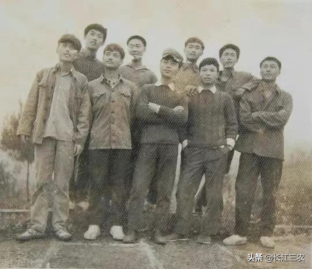 知青故事片段,知青往事真实故事