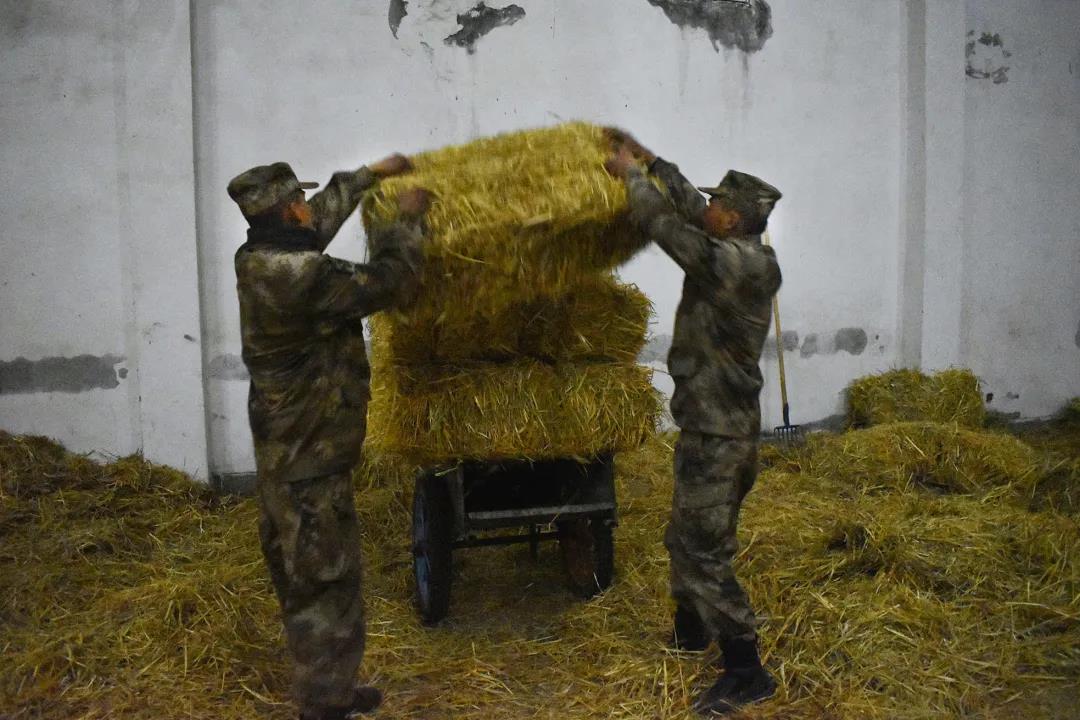 兵哥哥骑马最有霸气,兵哥哥骑马第一视角