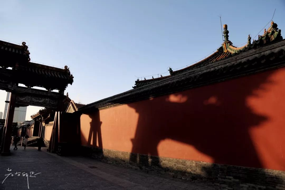 机票不到800元，第2次东北沈阳之旅，1个鸡架配老雪！