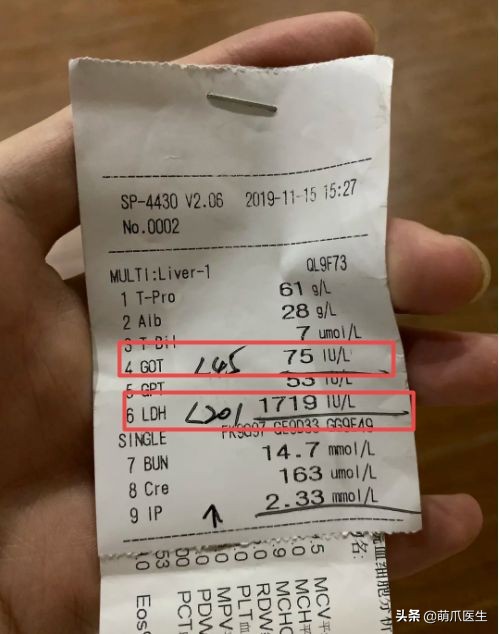 go猫粮翻车了怎么处理,猫吃猫粮死了