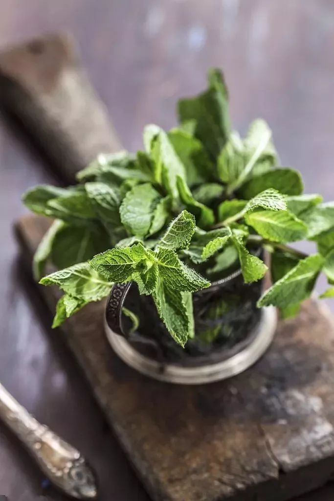 中药不能和饭一起吃但可以做药膳,可以当菜吃的中药
