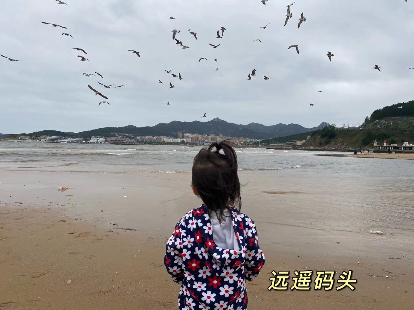 威海旅游的真实感受作文,威海旅游感悟心得小学生