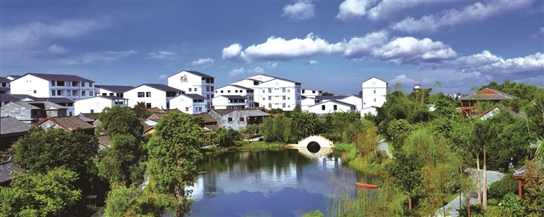 广西现代化农业,推动广西现代农业高质量发展工作