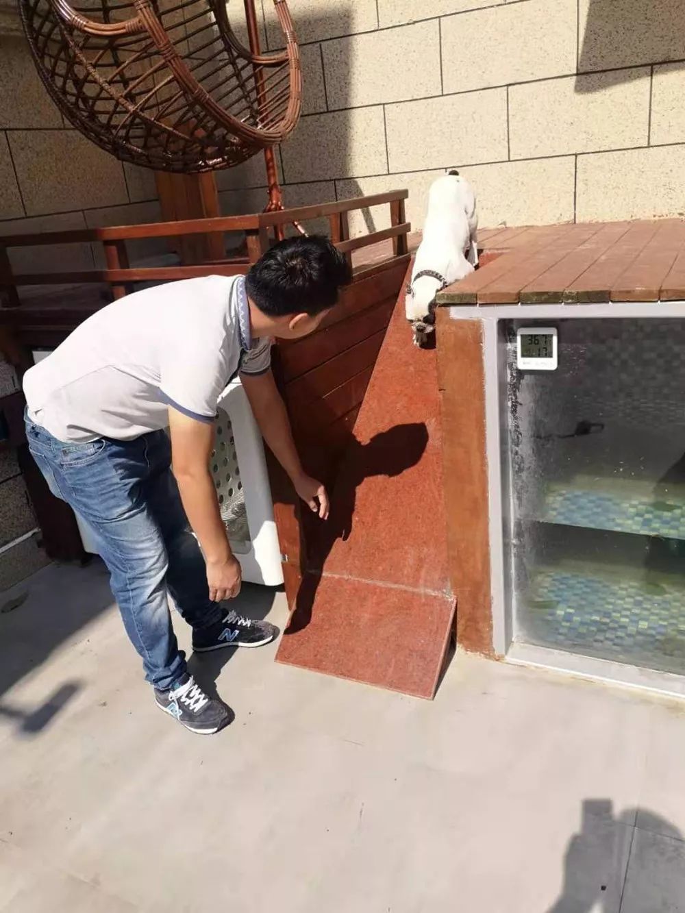 别墅泳池阳光房，秋千滑梯投影仪...豪华狗院子曝光