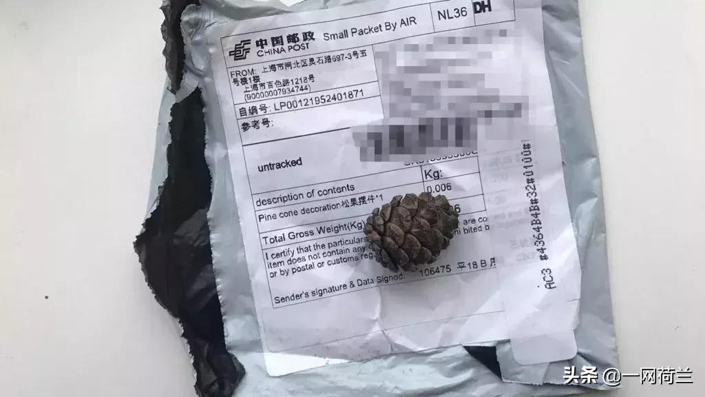 国外神秘包裹,美国发来的神秘包裹