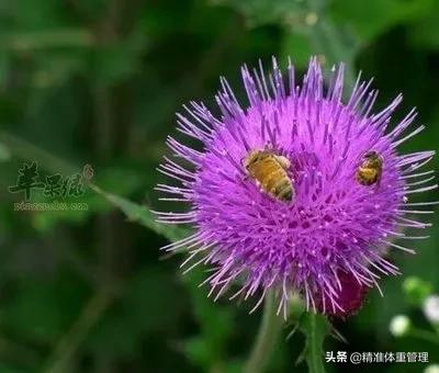 不小心被割伤了没有创可贴怎么办,不小心割伤没有创可贴怎么办