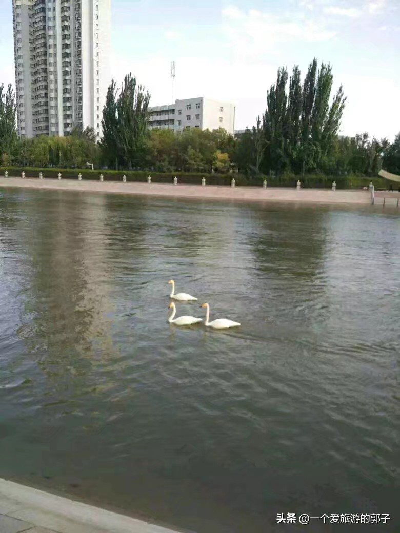那一年我第一次去，*疆新**巴音郭楞自治州首府库尔勒市。