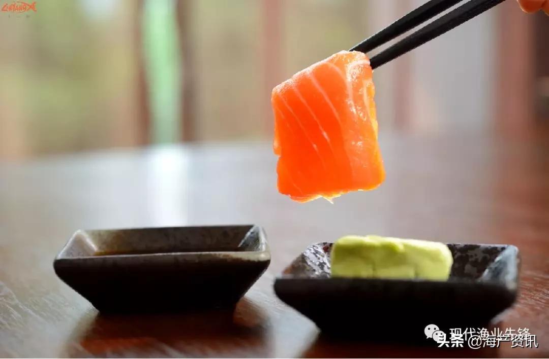 西餐配三文鱼的酱汁做法,三文鱼刺身属于西餐还是日料