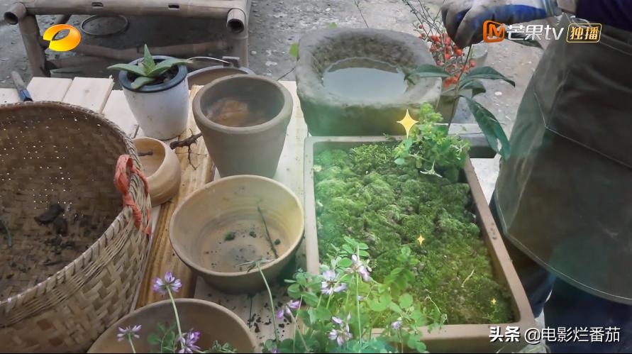 向往的生活2023会完结吗,向往的生活第七季怎么停更了