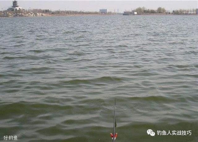 夏天钓鱼风向对照表,夏季什么风适合钓鱼