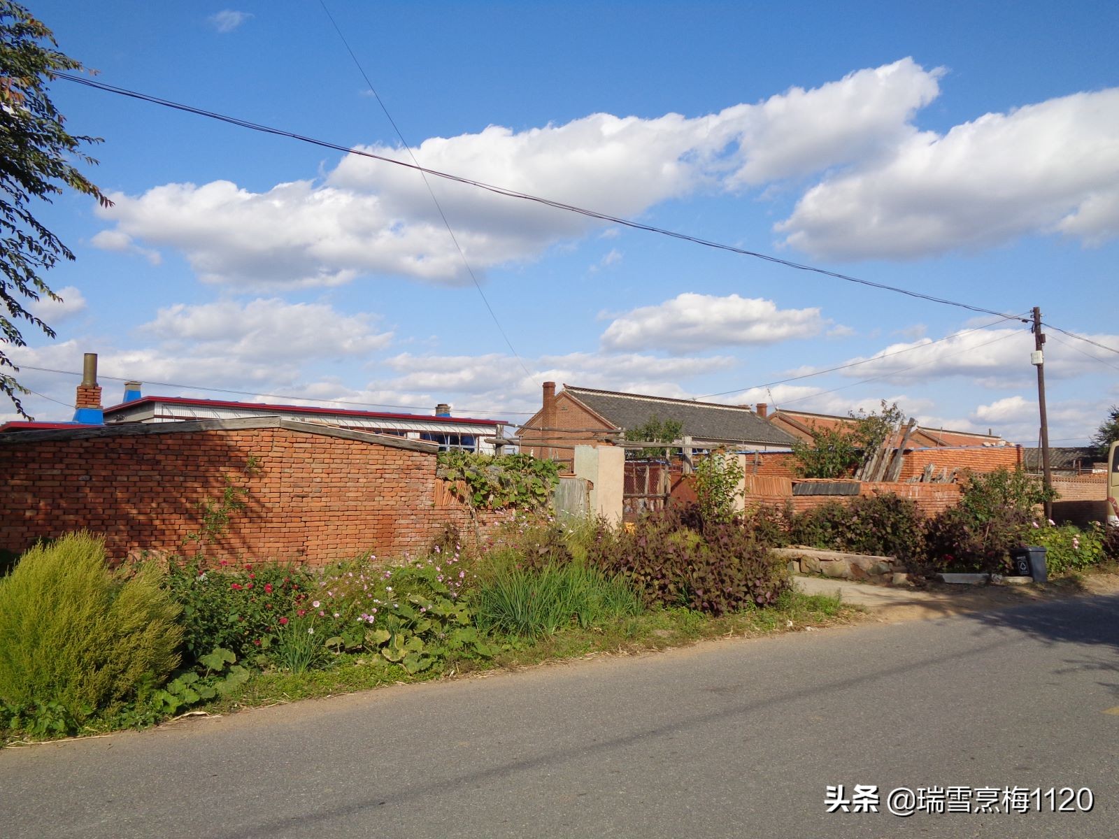 沈北新区依路村,沈北新区马刚乡地图