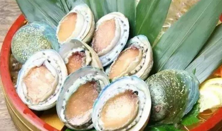 世界鲍鱼品种大全，你若知道其中5种，我叫你三声大哥