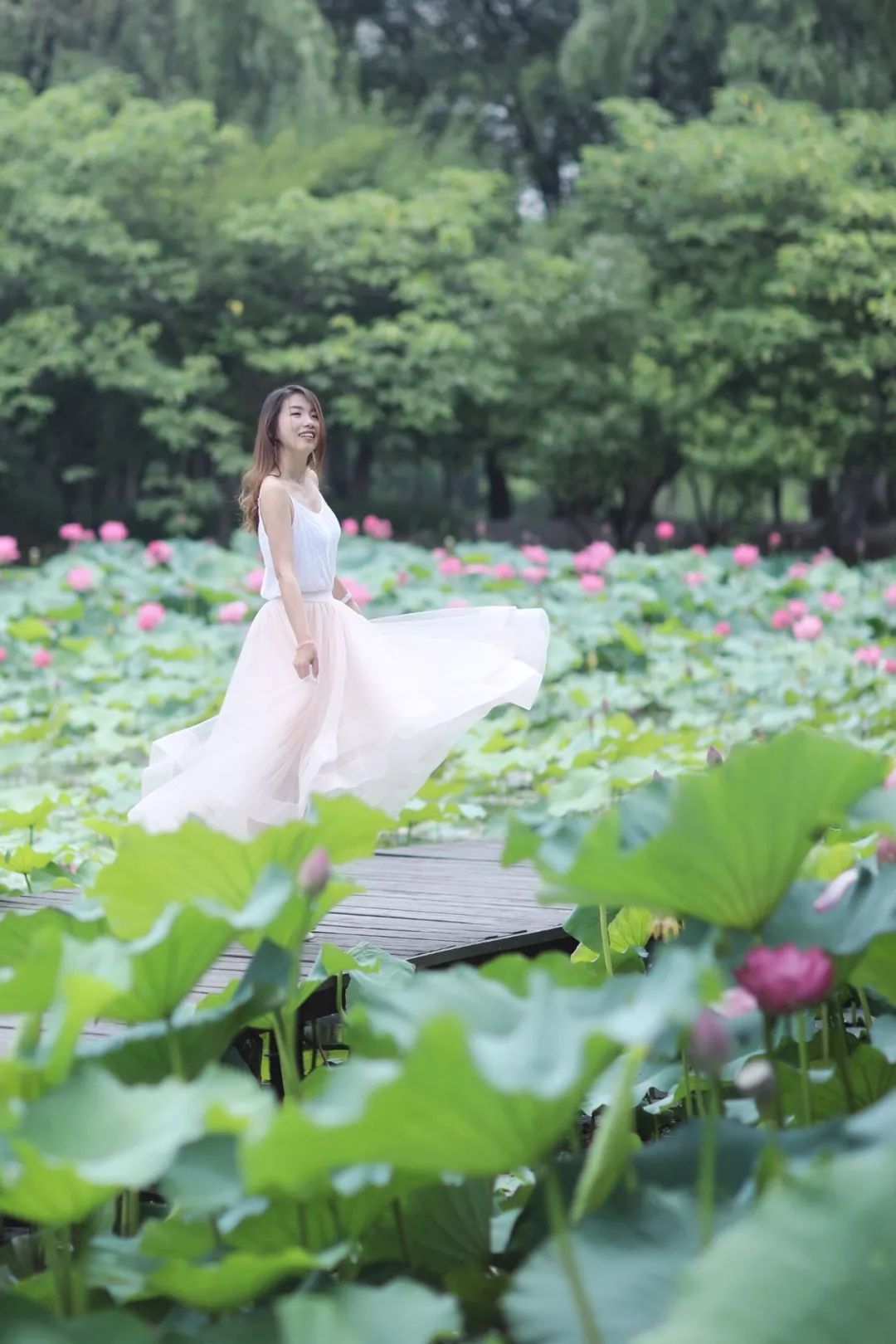 沙家浜旅游民宿有哪些,三月最适合去的最美民宿