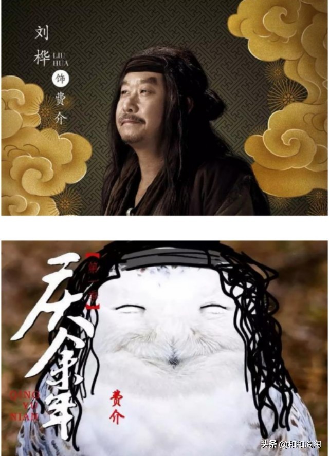 庆余年羊驼搞笑,庆余年动物搞笑图片