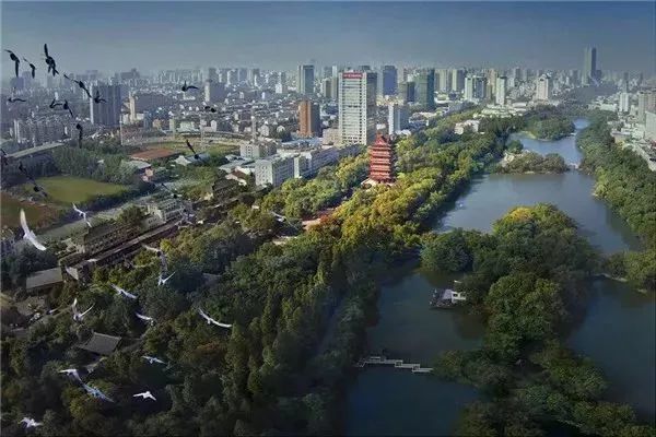 最全的合肥旅行攻略人少景美,夏日旅行计划合肥旅游攻略