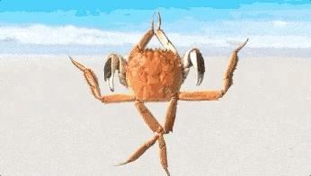 被百雀羚「鸽」，被大闸蟹「坑」，李佳琪直播又又又翻车了