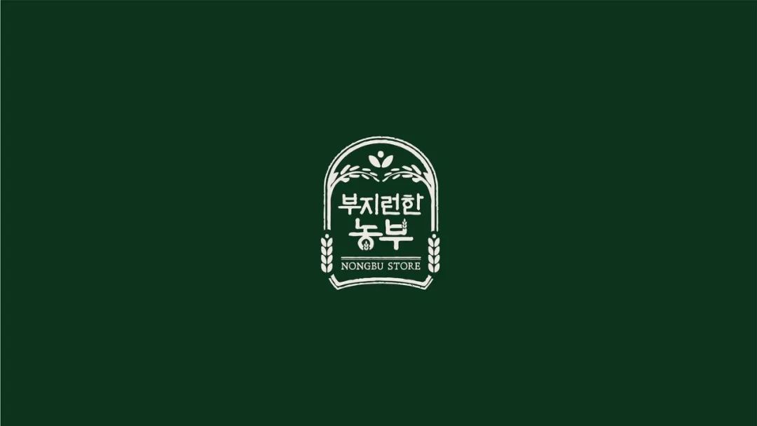 包装大米造型,高端大米包装设计大全