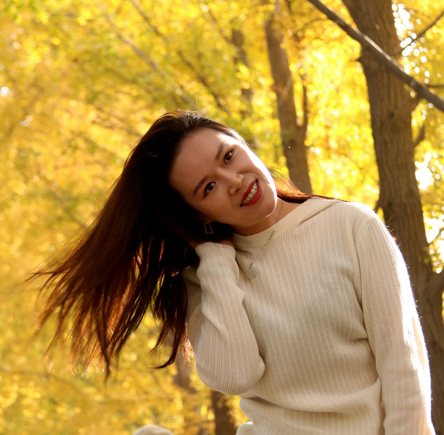 北京钓鱼台国宾馆银杏树大道,北京钓鱼台银杏大道图片