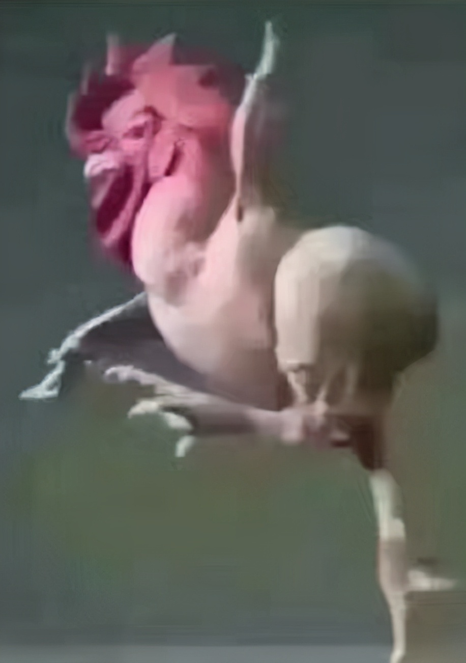 怎么克服游泳时对水的恐惧,新手如何克服恐惧学习游泳