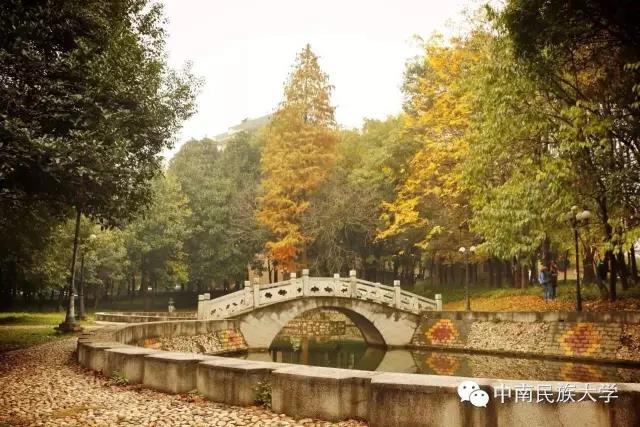 中南民族大学预科班是提前批报吗,中南民族大学全日制专业招生简章