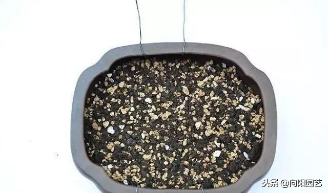 盆景花盆自制,盆景自制教程视频