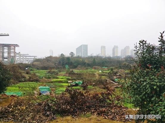 和城养老有伴社区房价,和城养老有伴社区二手房