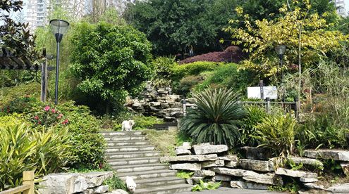 初中生怎么选择铁路学校,铁路高中学校怎么选