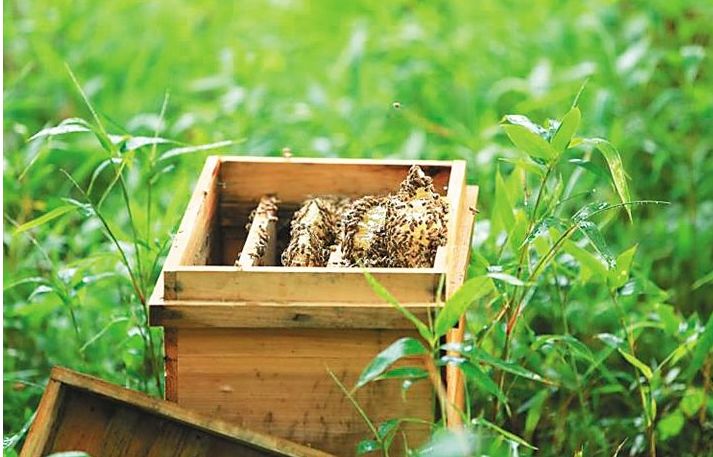 爱心助农米面粮油推销宣传,爱心助农蔬菜批发