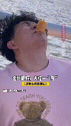 “屎到淋头”？嘴叼面包喂昆明海鸥大家最担心的事情发生了？