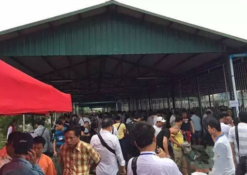 一桩交易,翡翠到底有多赚钱