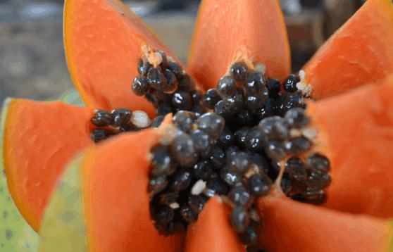 头发干燥毛躁护发素,头发干燥毛燥用什么洗发水护发素