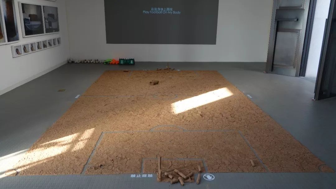 石家庄高新区有免费的足球场吗,石家庄哪里有免费的足球场