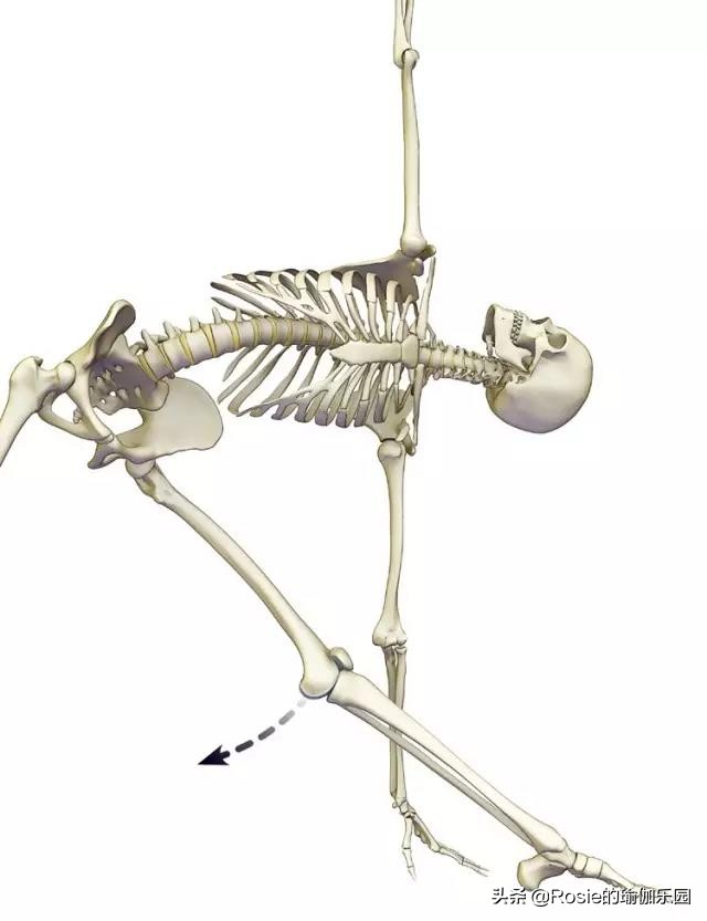 创造营里论腿更服苏有朋，明星私教揭秘：竟因他做了这个瘦腿动作