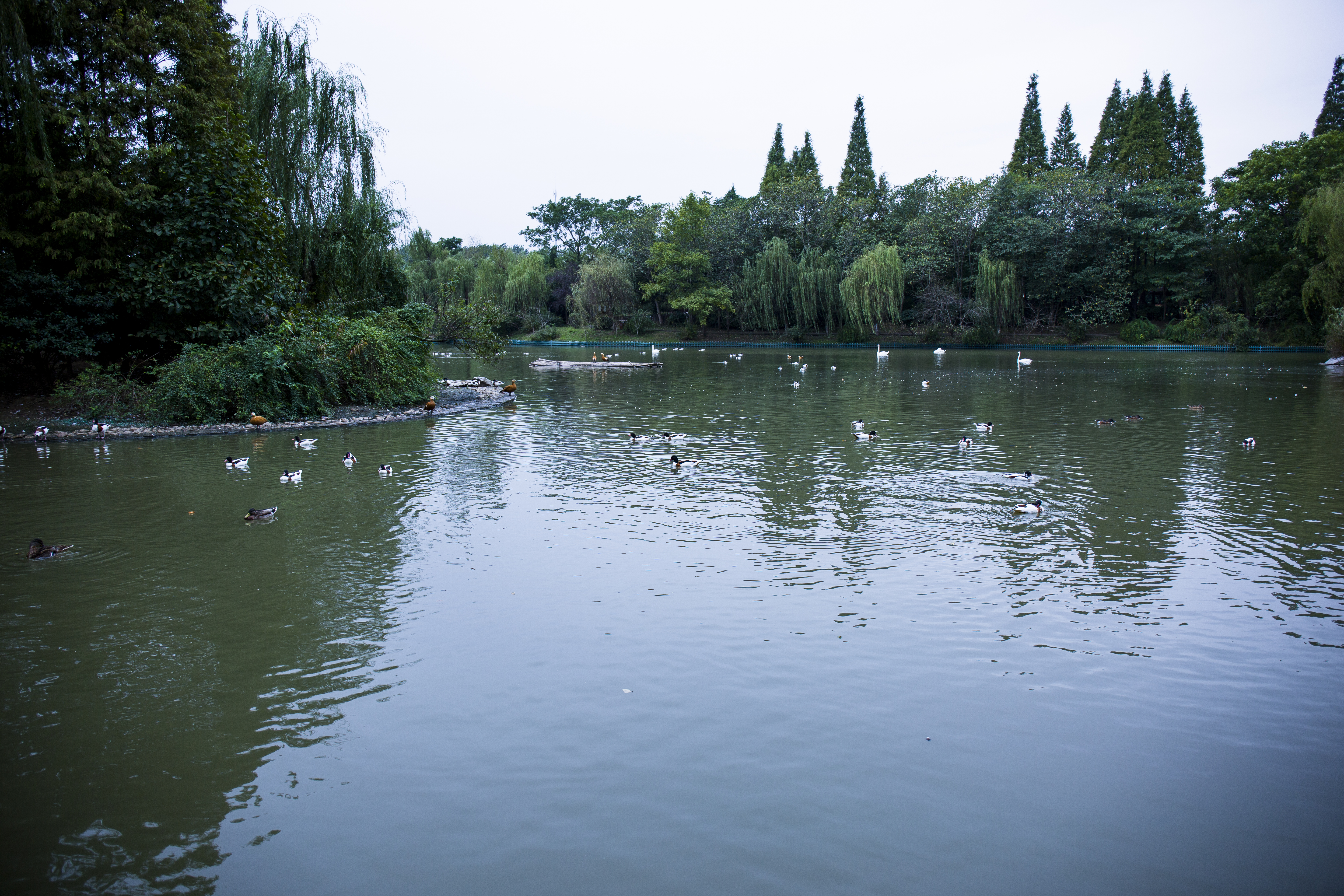 扬州是个不花钱的公园,扬州本地人最喜欢去的公园