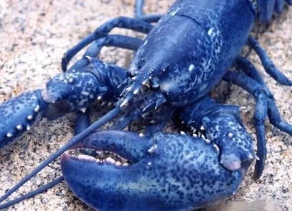 美业三年未来的机遇与挑战,2024年美业工作展望