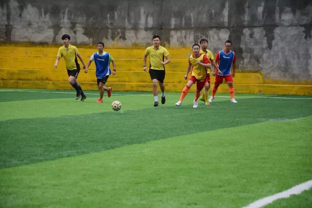 派迪茵体育股份有限公司,派迪茵足球比赛