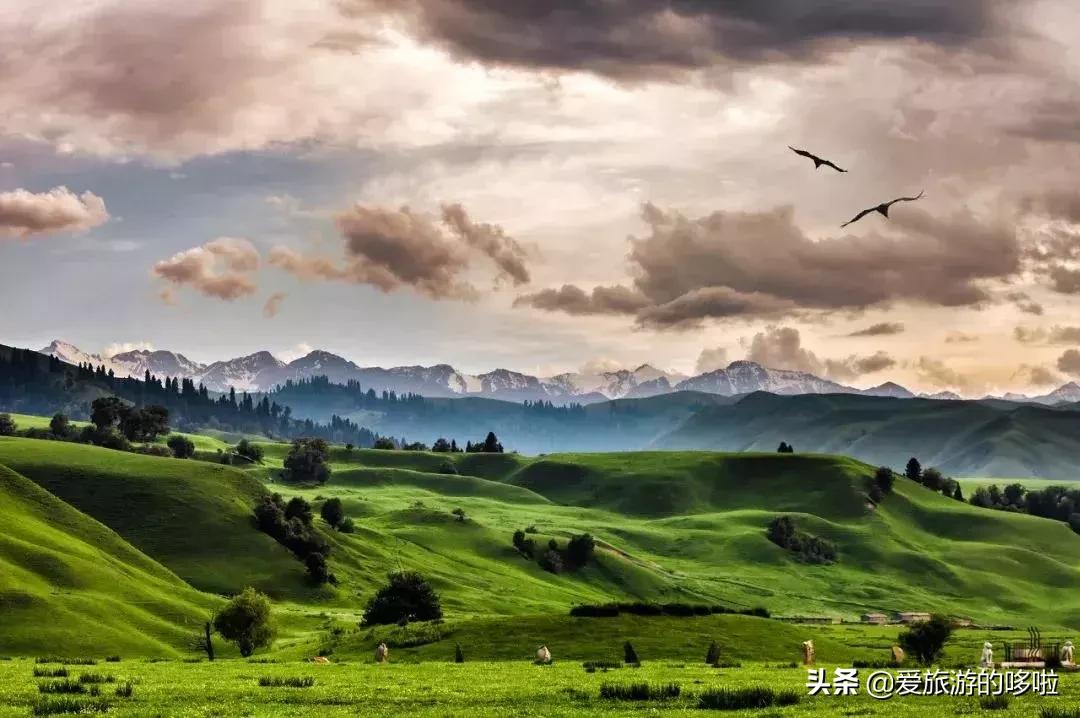 中国最美十大自驾线路,中国最美的七条自驾游路线