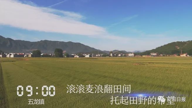 近几天林州发生的新闻,林州最近有发生什么事吗