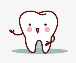 舒客电动牙刷怎么看真假,舒客电动牙刷y1怎么样