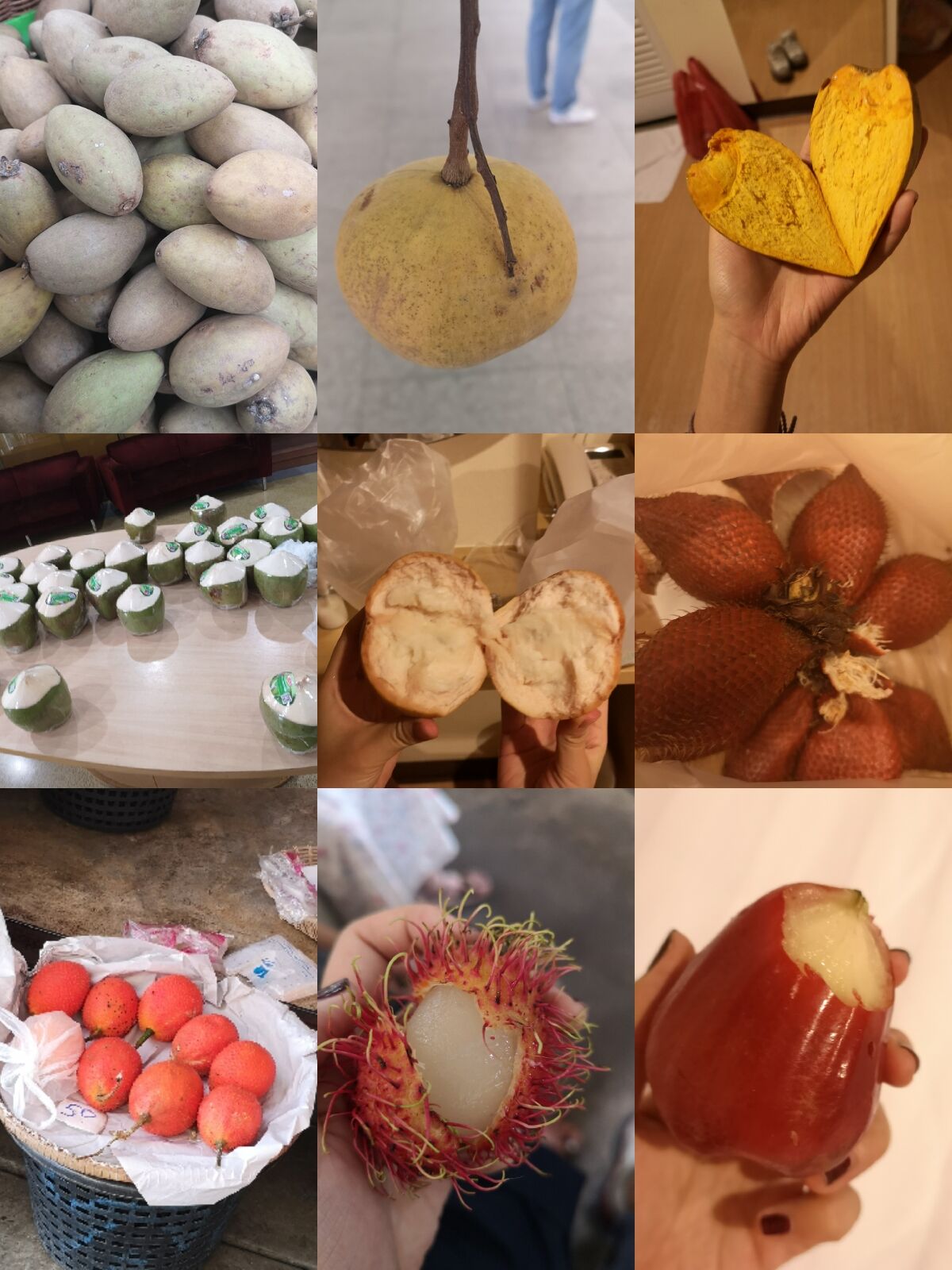 在泰国曼谷吃什么好,曼谷和清迈美食有什么不同