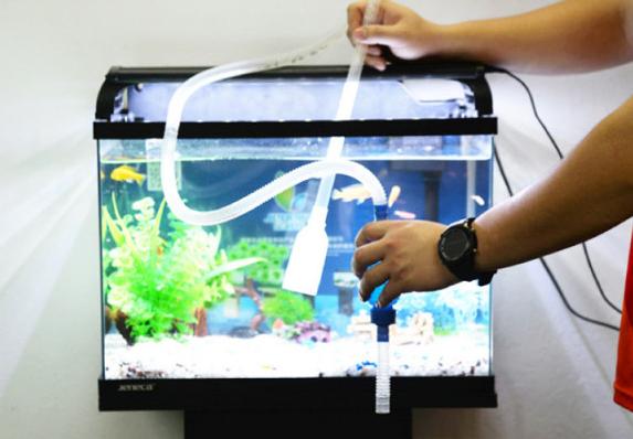 鱼缸换水底滤槽需要换水吗,鱼缸换水前喂食还是换水后