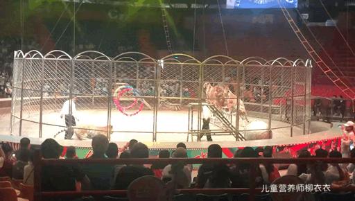 暑假带孩子内蒙古旅游攻略,暑期内蒙古亲子游鄂尔多斯