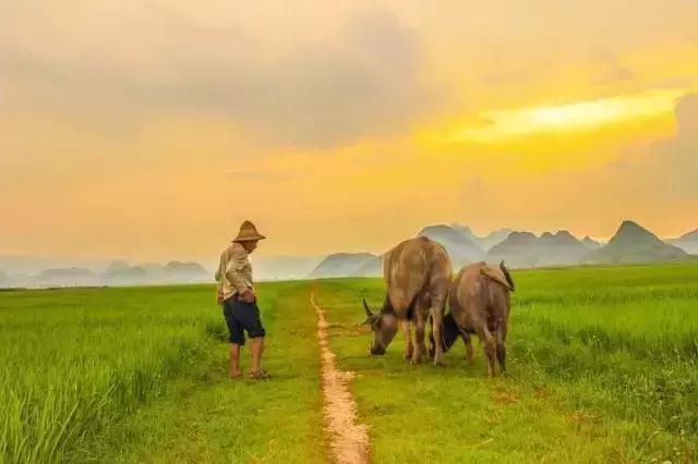 人间瑶池普者黑,丽江至普者黑自驾