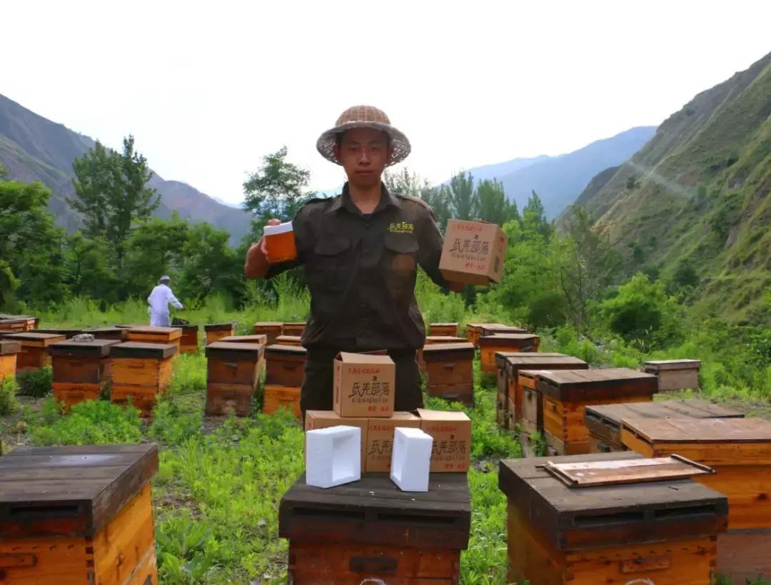 澶х編鏂囧幙,澶х編鐢樿們鏂囧幙