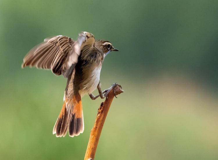 情人岛拍摄地点,情人岛航拍视频