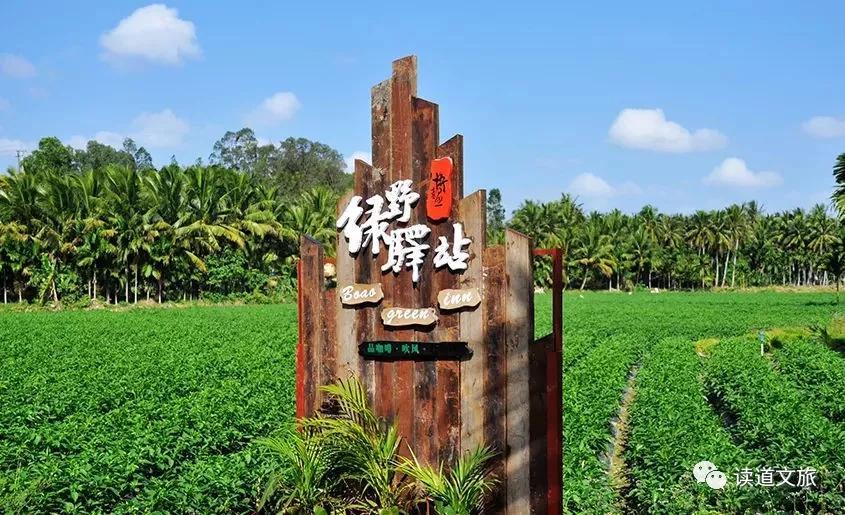 农业种植如何设计项目融资,个人投资农业项目怎么起步