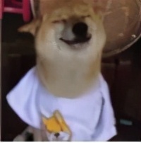 俩个月极速九炸，详细复盘PTE大神超凡进阶之路