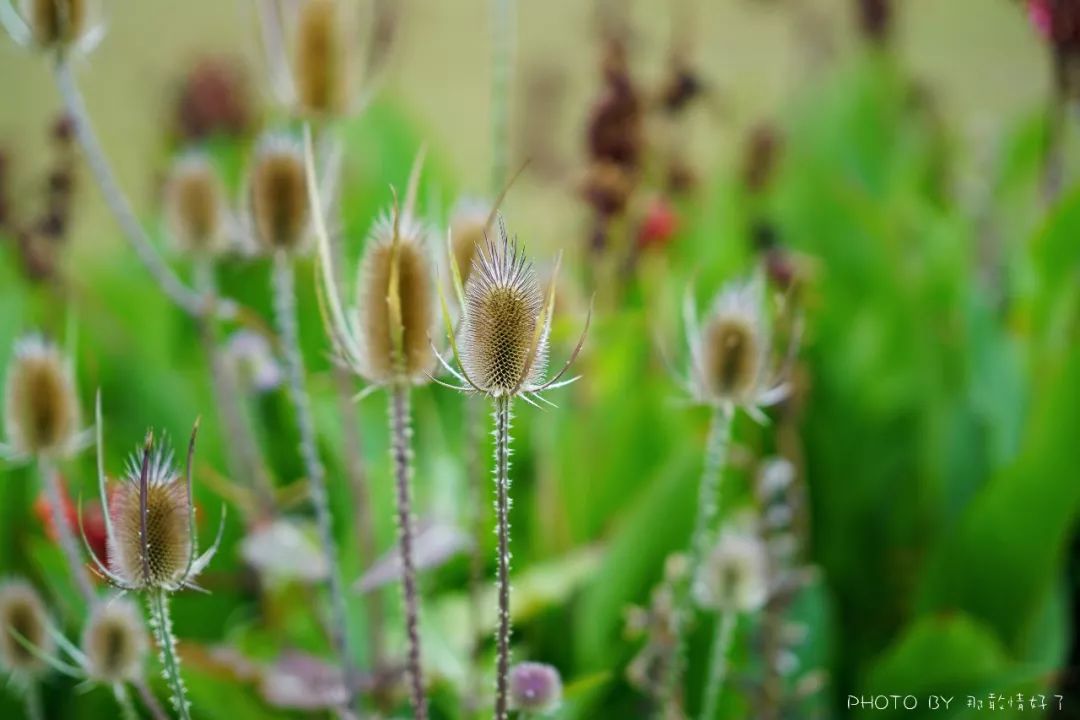塔斯马尼亚幽灵之旅，夜访世界尽头190年历史闹鬼老监狱