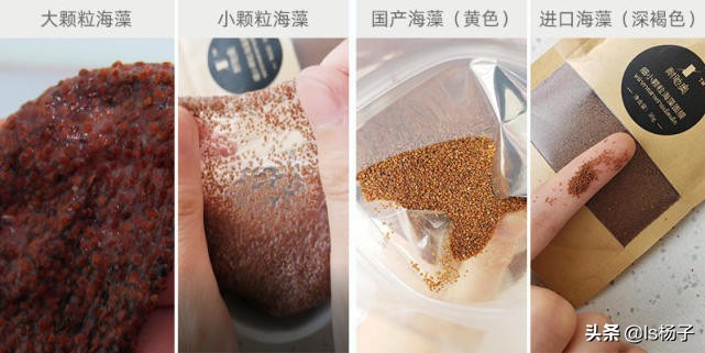 海藻颗粒面膜如何挑选,海藻面膜怎样区分好坏