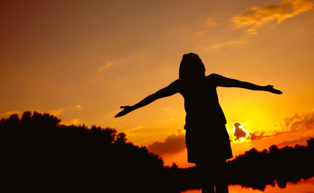 双11好房子攻略,天猫双11买房